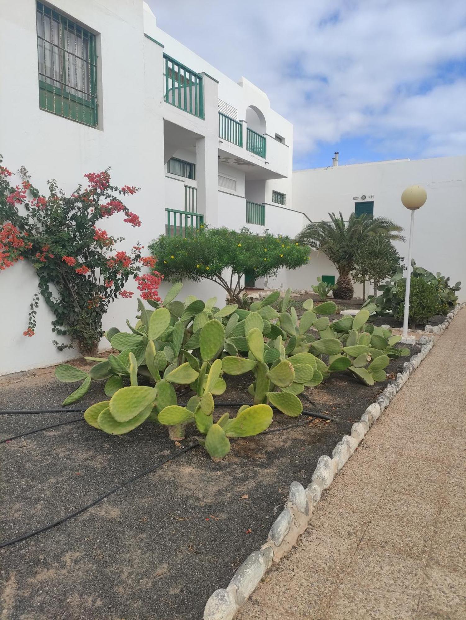 Апартаменты Casita Perla Blanca Коста-де-Антигуа Экстерьер фото